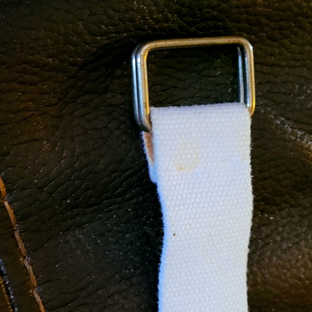 Belt